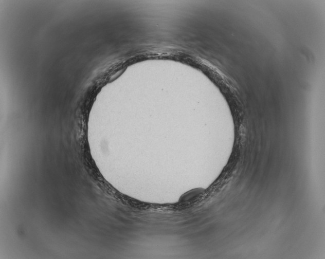 X0000111461447200908241309