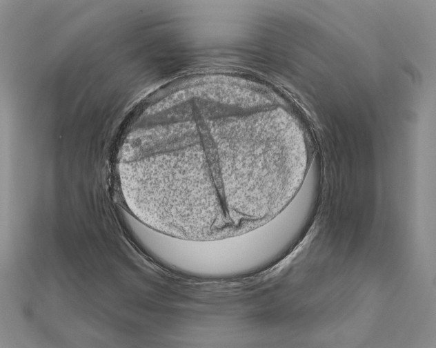 X0000111461449200908241309