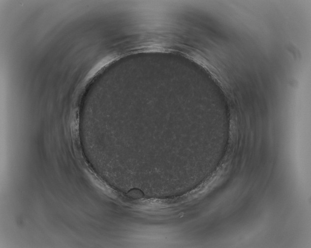 X0000111461450200908241309