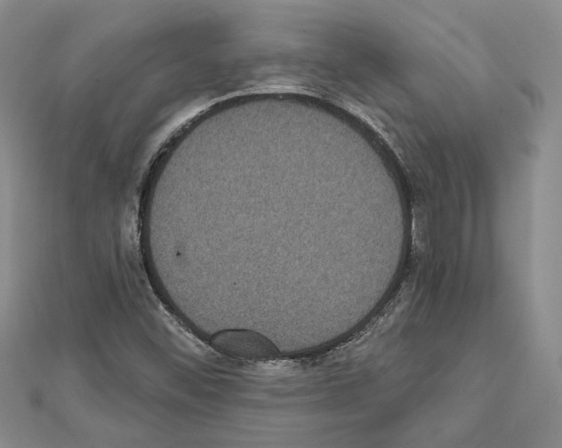 X0000111461452200908241309