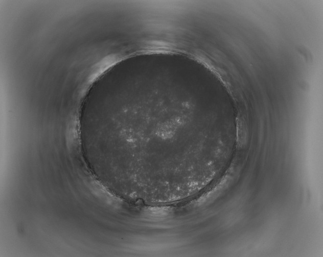 X0000111461453200908241309