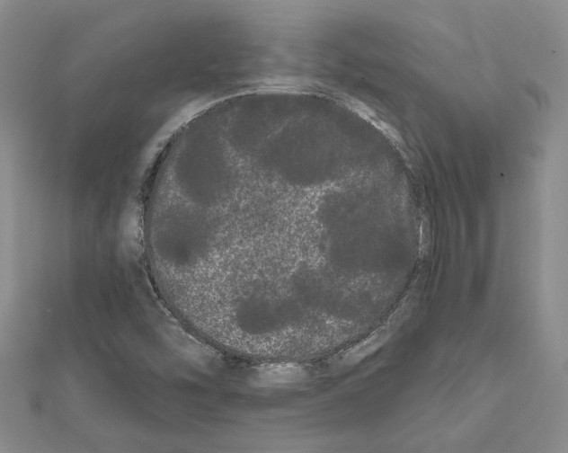 X0000111461454200908241309