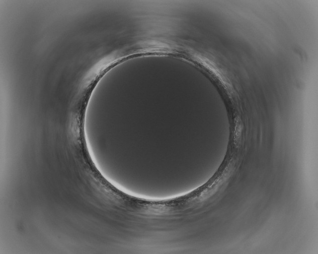 X0000111461455200908241309
