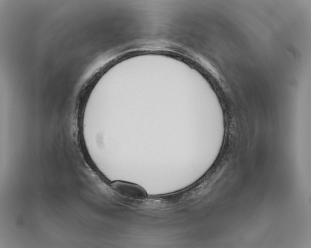 X0000111461456200908241309