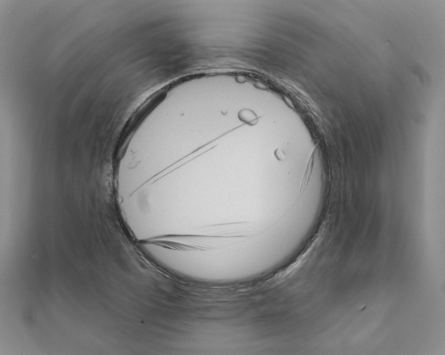 X0000111461457200908241309