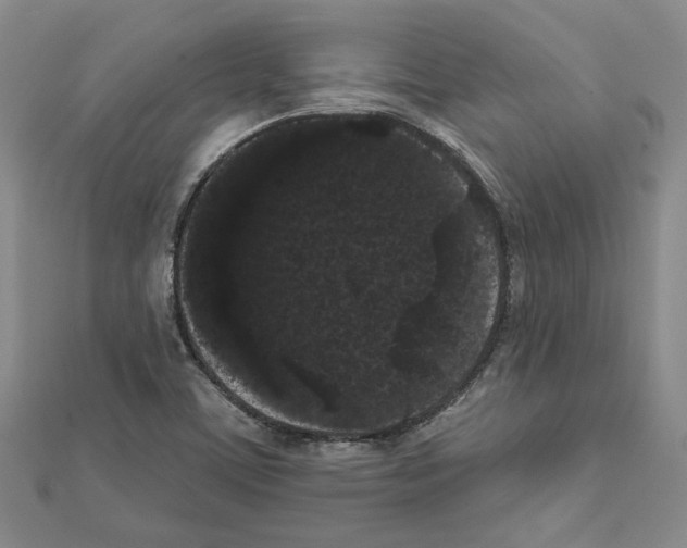 X0000111461459200908241309