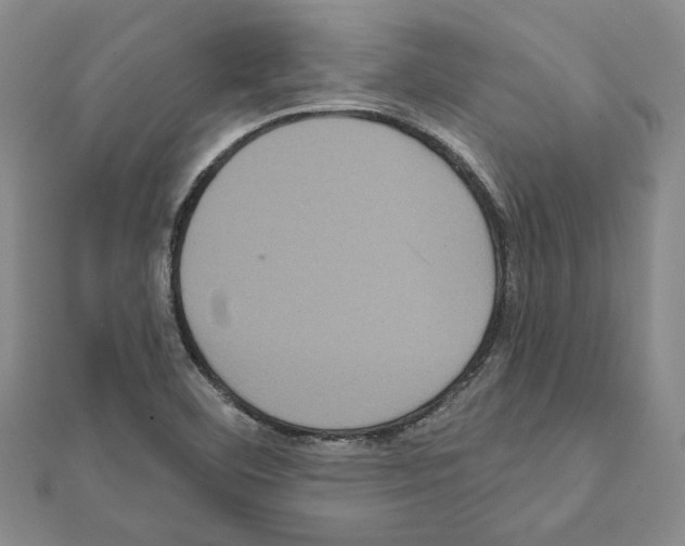 X0000111461460200908241309