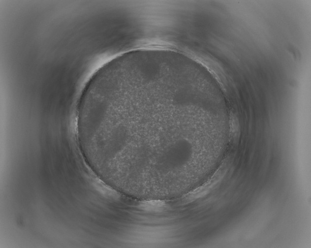 X0000111461462200908241309