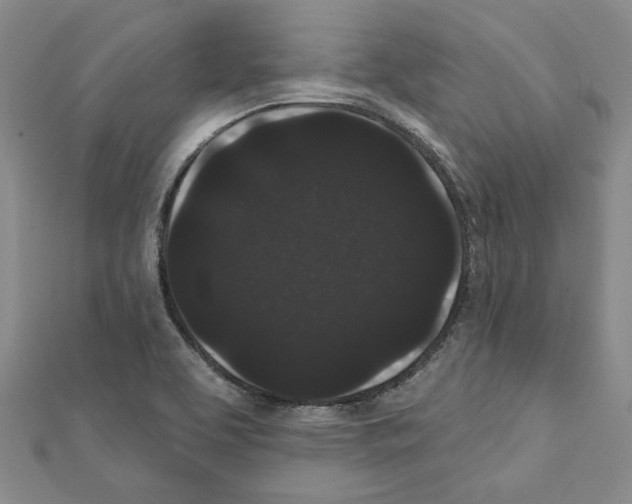 X0000111461463200908241309