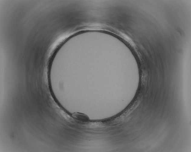 X0000111461464200908241309