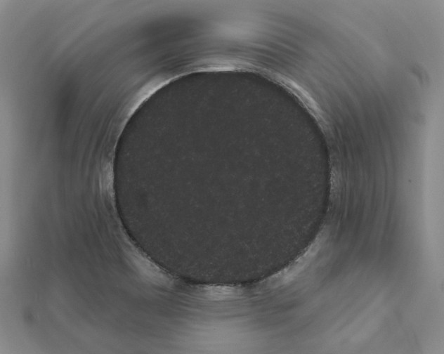 X0000111461465200908241309