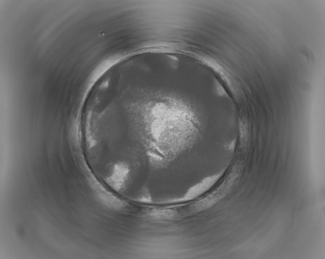 X0000111461466200908241309