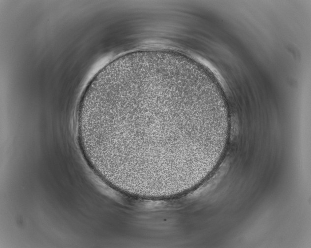 X0000111461467200908241309