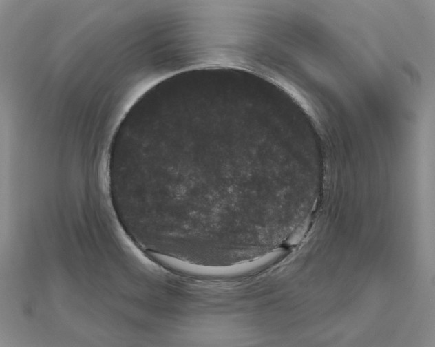 X0000111461468200908241309