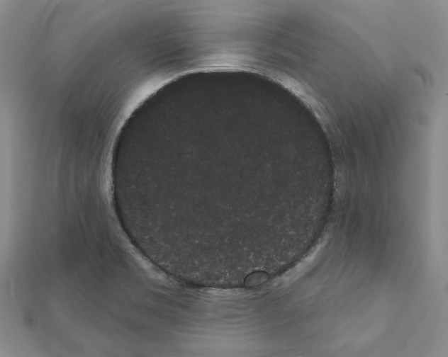 X0000111461469200908241309