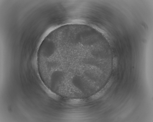 X0000111461470200908241309