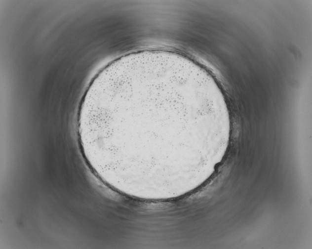 X0000111461471200908241309