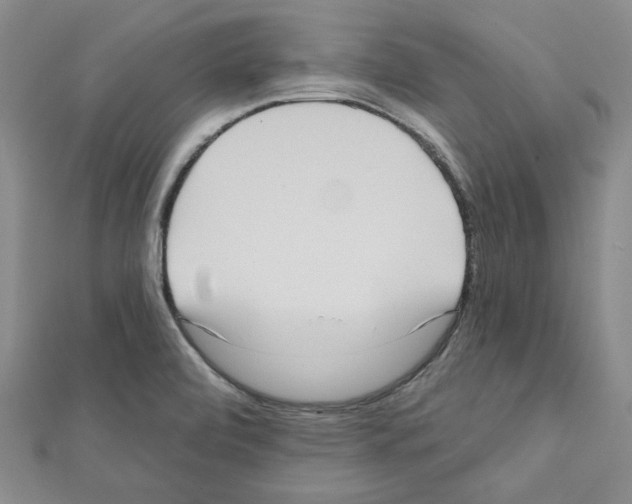 X0000111461472200908241309
