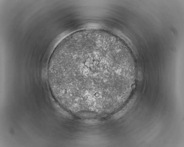 X0000111461473200908241309