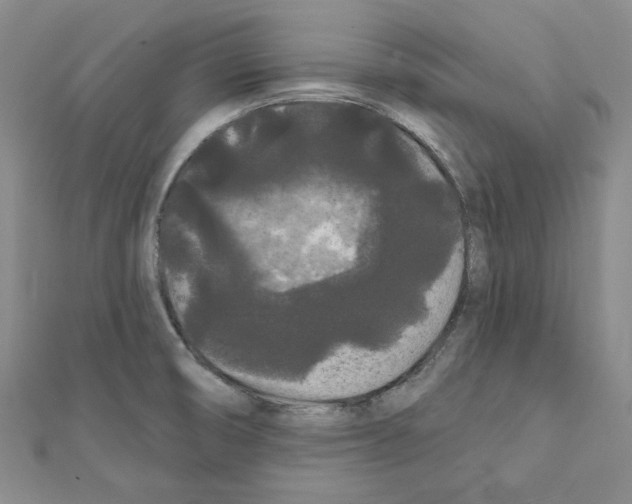 X0000111461474200908241309
