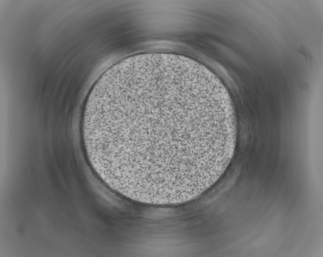 X0000111461475200908241309