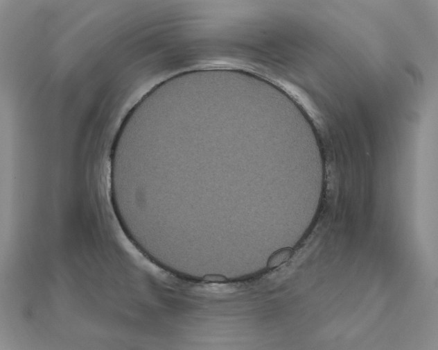 X0000111461476200908241309
