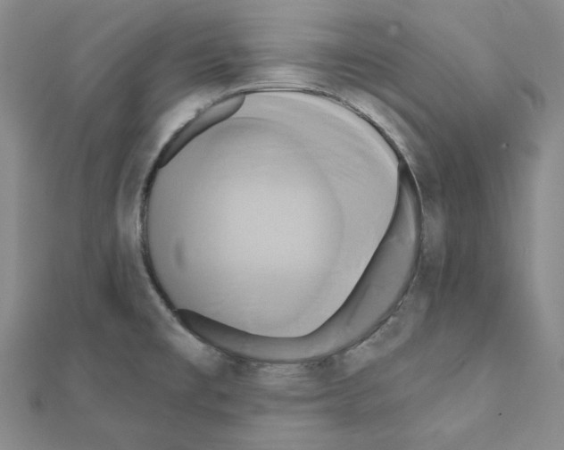 X0000111461477200908241309