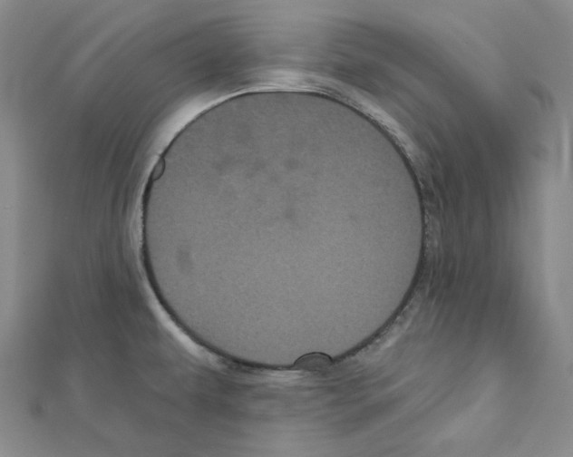 X0000111461479200908241309