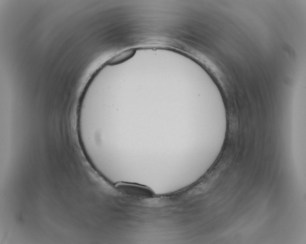 X0000111461480200908241309