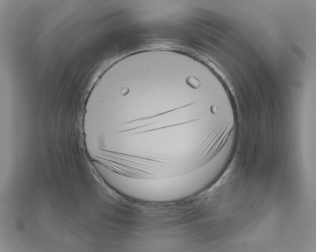 X0000111461481200908241309