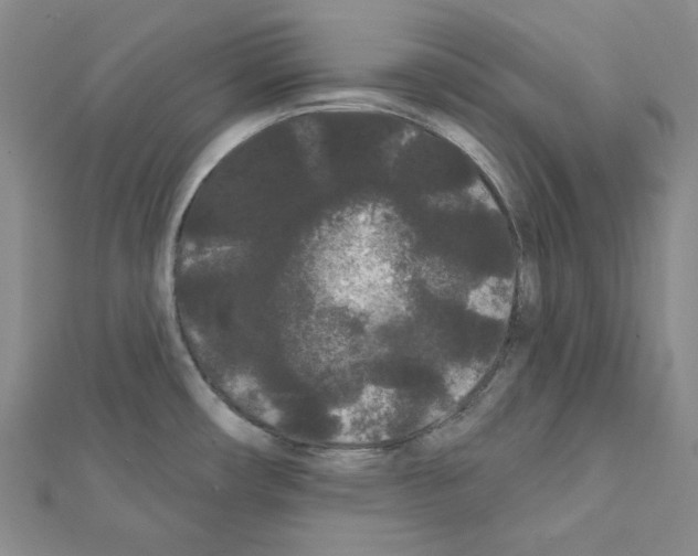 X0000111461482200908241309