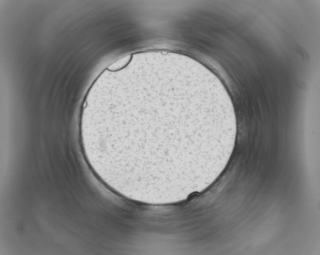 X0000111461483200908241309