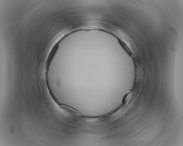 X0000111461484200908241309