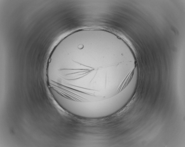 X0000111461485200908241309