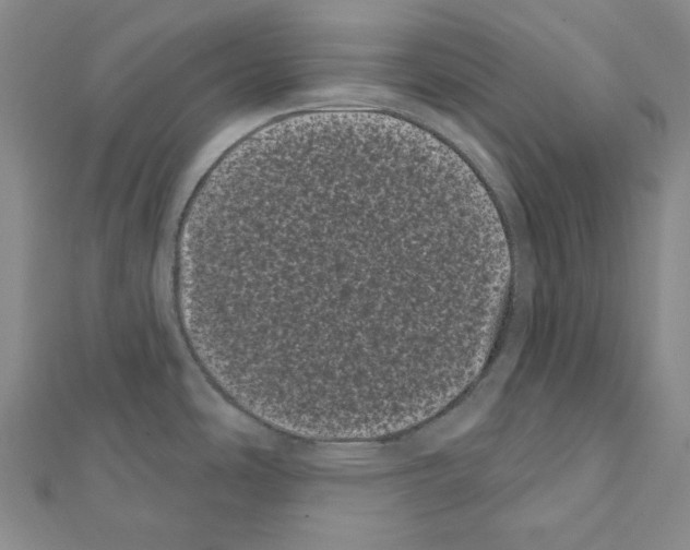 X0000111461486200908241309