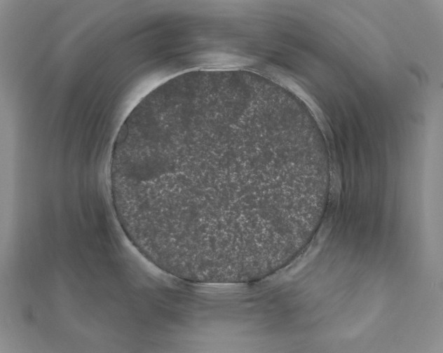 X0000111461487200908241309