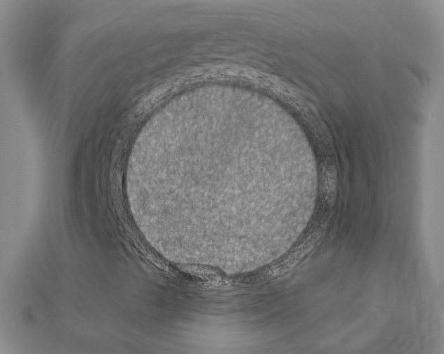 X0000111461489200908241308