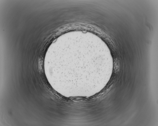 X0000111461490200908241308