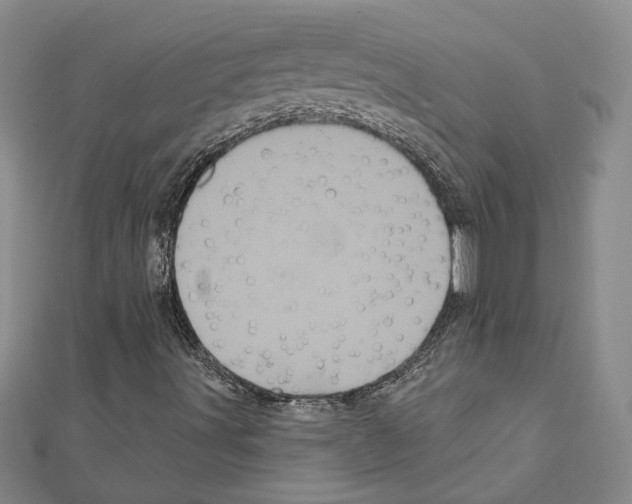 X0000111461491200908241308