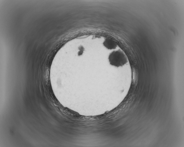 X0000111461492200908241308