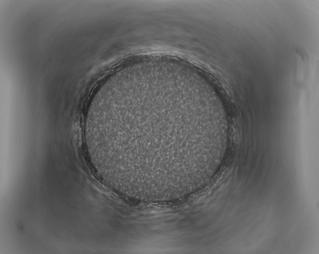 X0000111461493200908241308