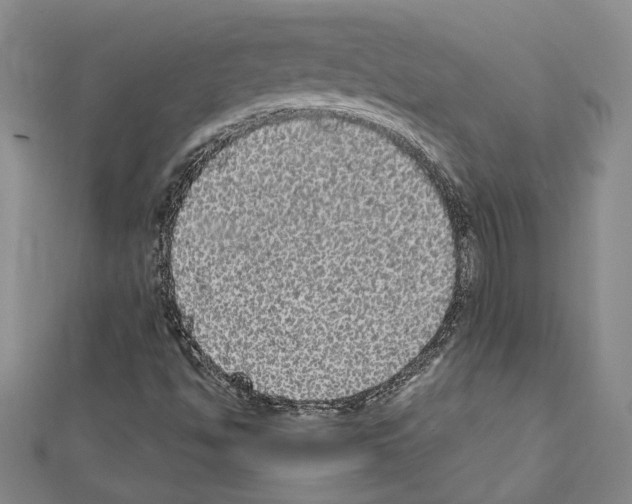 X0000111461494200908241308