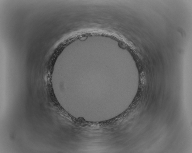 X0000111461495200908241308
