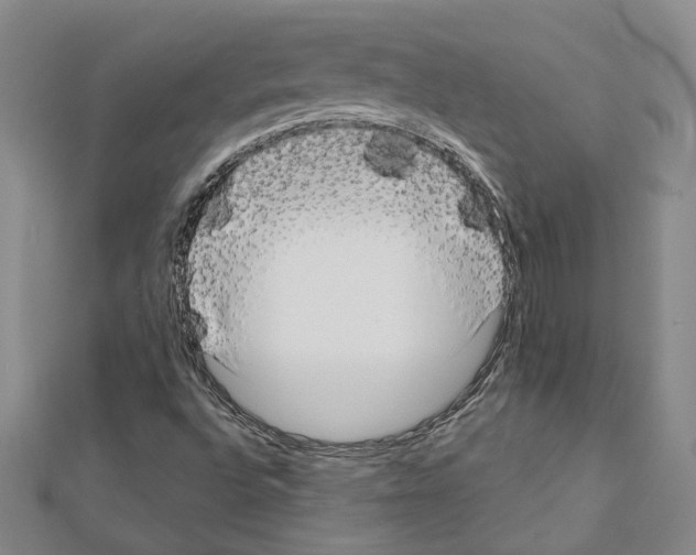 X0000111461496200908241308