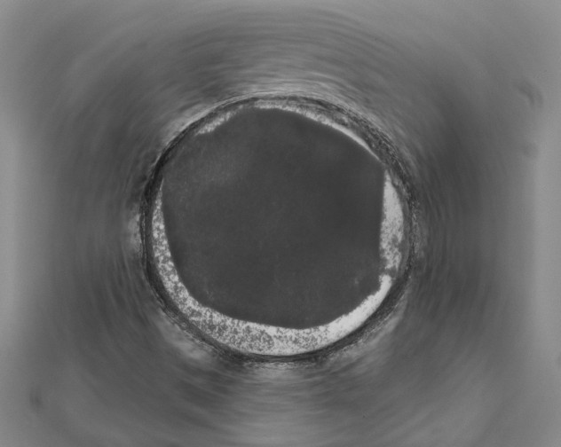 X0000111461497200908241308