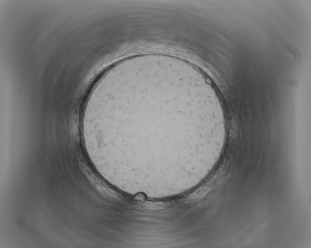 X0000111461499200908241308