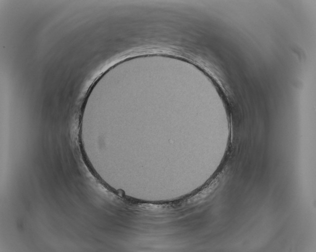 X0000111461500200908241308