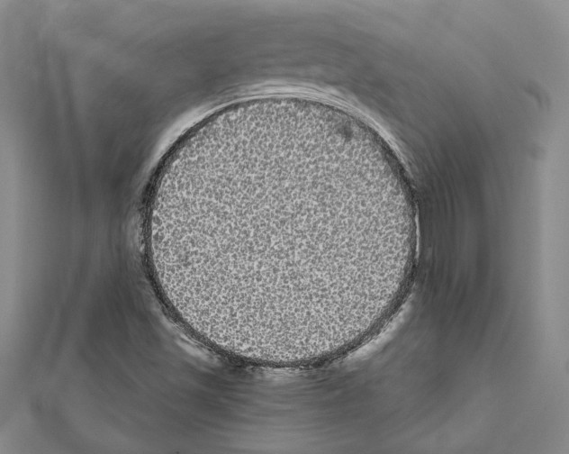 X0000111461501200908241308