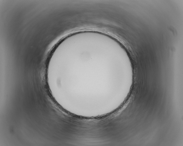 X0000111461502200908241308