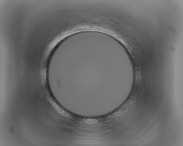 X0000111461503200908241308
